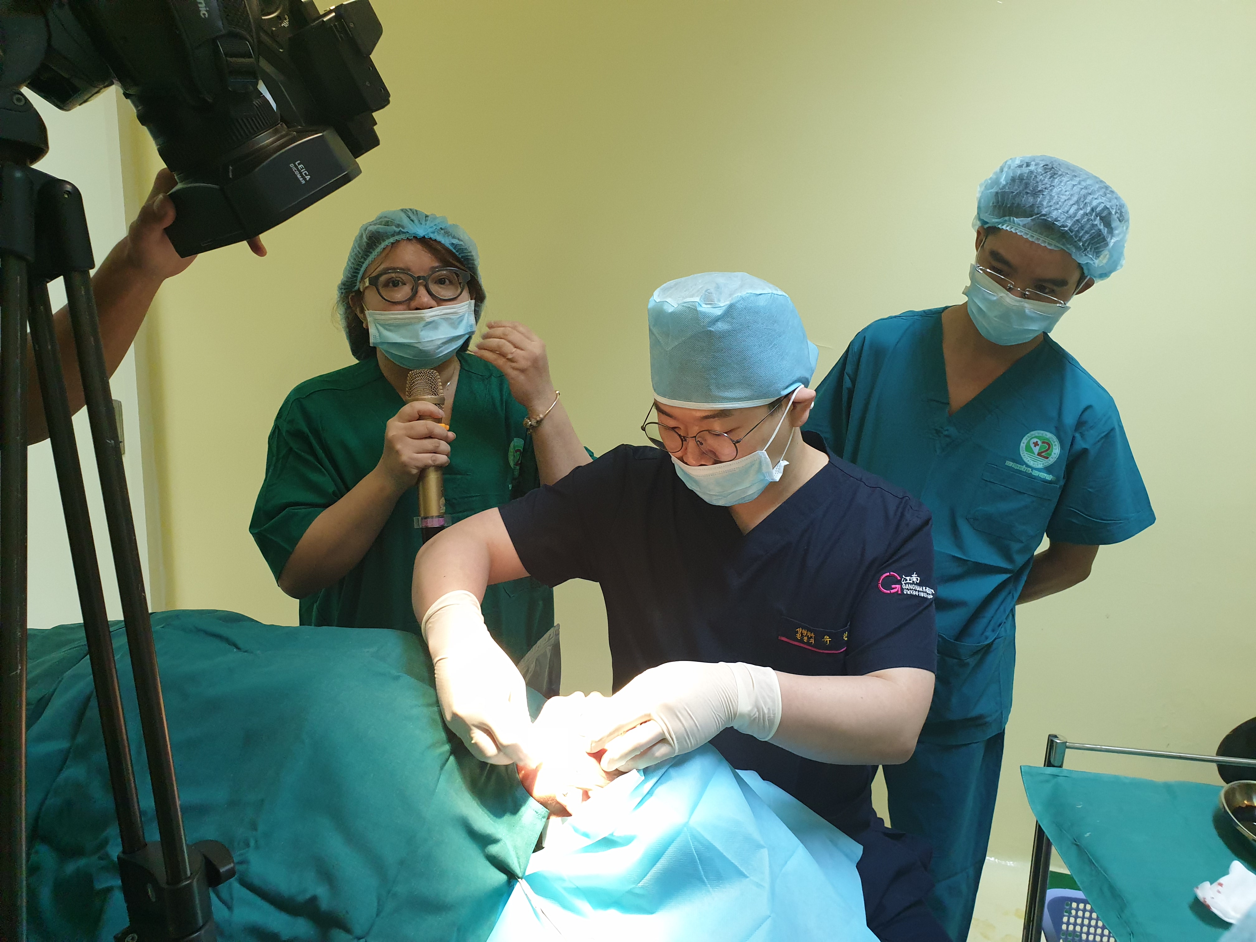 VIE - KOR Petit plastic surgery seminar